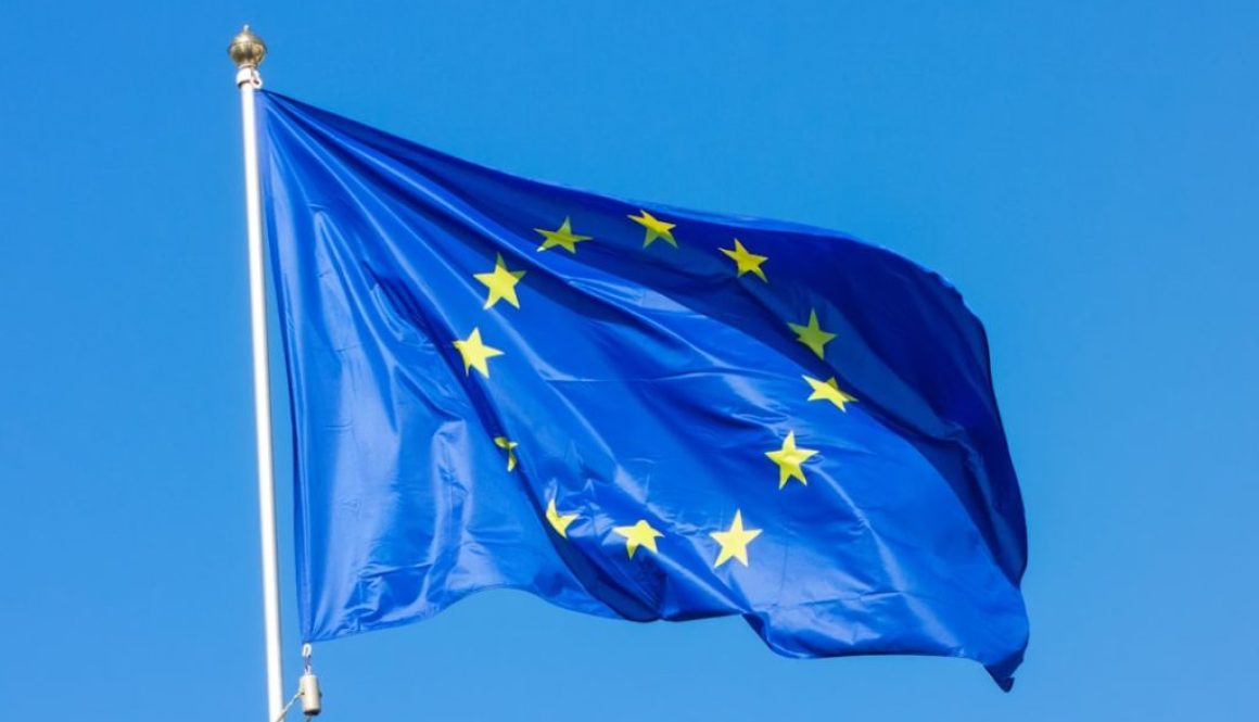 Jak Unia Europejska zmienia rolnictwo - zasady i regulacje dotyczące dopłat rolniczych